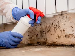 Best Mold Odor Removal Services  in Pepper Pike, OH